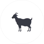 Qurbani 